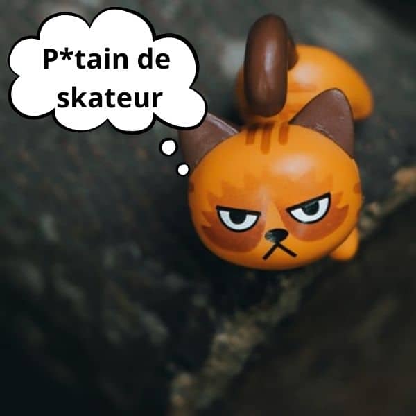 Top 5 reproches faits a au skate